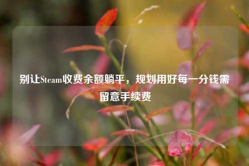 别让Steam收费余额躺平,规划用好每一分钱需留意手续费