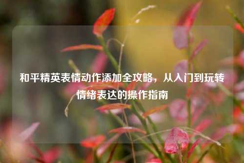 和平精英表情动作添加全攻略，从入门到玩转情绪表达的操作指南