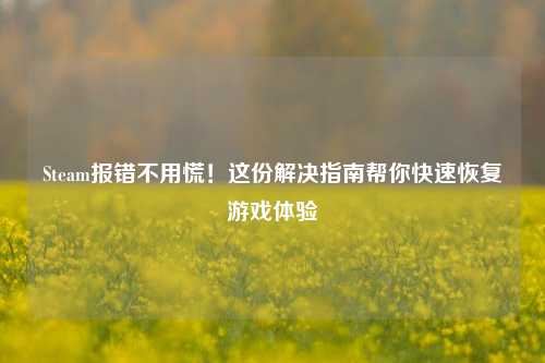 Steam报错不用慌!这份解决指南帮你快速恢复游戏体验