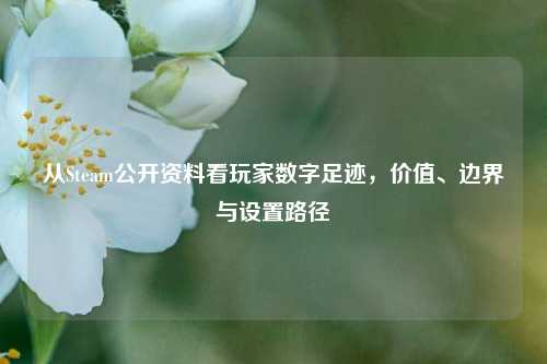 从Steam公开资料看玩家数字足迹,价值、边界与设置路径