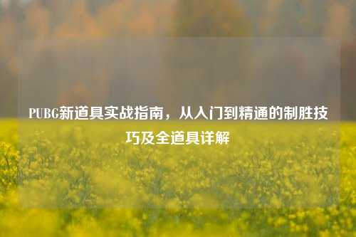 PUBG新道具实战指南,从入门到精通的制胜技巧及全道具详解