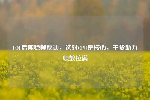 LOL后期稳帧秘诀，选对CPU是核心，干货助力帧数拉满
