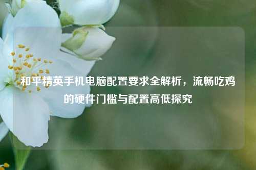 和平精英手机电脑配置要求全解析,流畅吃鸡的硬件门槛与配置高低探究
