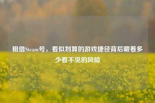 租借Steam号,看似划算的游戏捷径背后藏着多少看不见的风险