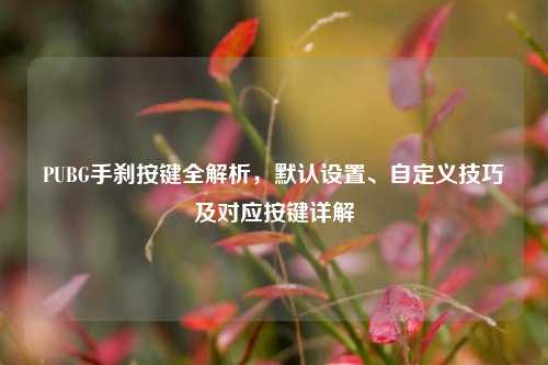PUBG手刹按键全解析,默认设置、自定义技巧及对应按键详解