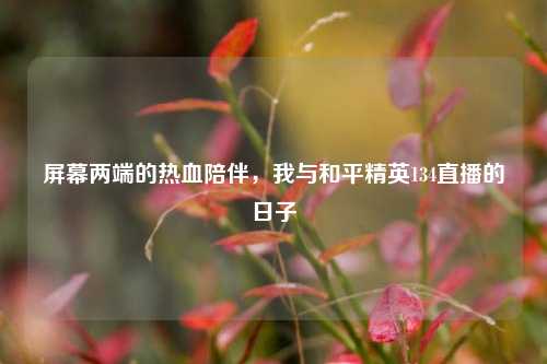 屏幕两端的热血陪伴，我与和平精英134直播的日子