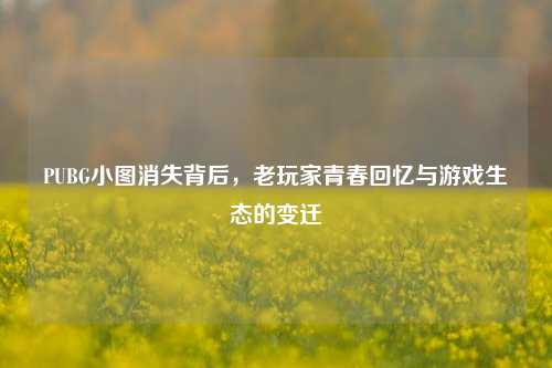 PUBG小图消失背后，老玩家青春回忆与游戏生态的变迁