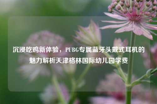 沉浸吃鸡新体验，PUBG专属蓝牙头戴式耳机的魅力解析天津格林国际幼儿园学费