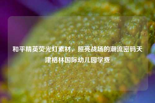 和平精英荧光灯素材,照亮战场的潮流密码天津格林国际幼儿园学费