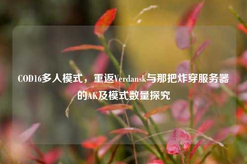 COD16多人模式,重返Verdansk与那把炸穿服务器的AK及模式数量探究