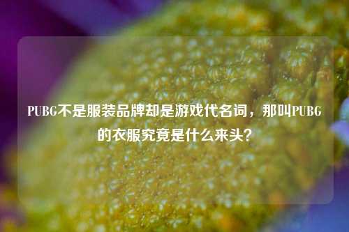 PUBG不是服装品牌却是游戏代名词,那叫PUBG的衣服究竟是什么来头?