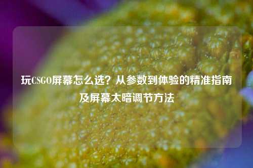 玩CSGO屏幕怎么选?从参数到体验的精准指南及屏幕太暗调节方法