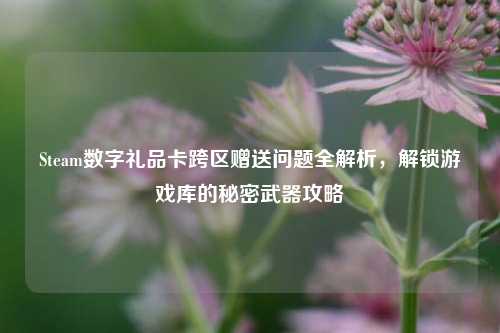 Steam数字礼品卡跨区赠送问题全解析,解锁游戏库的秘密武器攻略