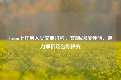 Steam上开启人类文明征程,文明6深度体验、魅力解析及名称探究