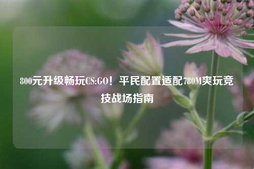 800元升级畅玩CS:GO!平民配置适配780M爽玩竞技战场指南