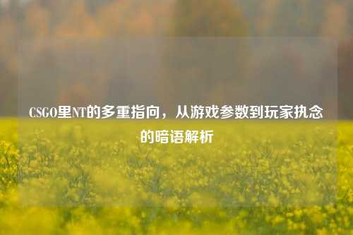 CSGO里NT的多重指向，从游戏参数到玩家执念的暗语解析
