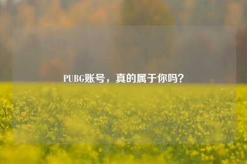 PUBG账号,真的属于你吗?