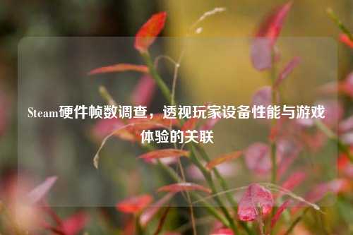Steam硬件帧数调查,透视玩家设备性能与游戏体验的关联