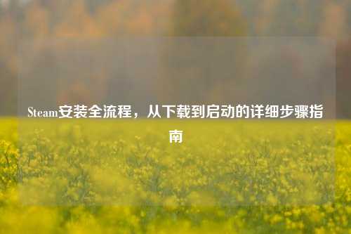 Steam安装全流程,从下载到启动的详细步骤指南