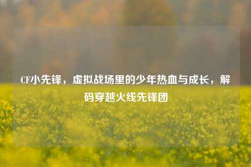 CF小先锋,虚拟战场里的少年热血与成长,解码穿越火线先锋团