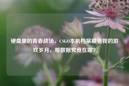 硬盘里的青春战场,CSGO本机档案藏着我的游戏岁月,那数据究竟在哪?