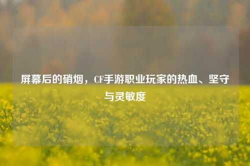屏幕后的硝烟,CF手游职业玩家的热血、坚守与灵敏度