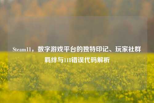 Steam11,数字游戏平台的独特印记、玩家社群羁绊与118错误代码解析