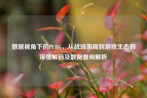 数据视角下的PUBG,从战场表现到游戏生态的深度解码及数据查询解析