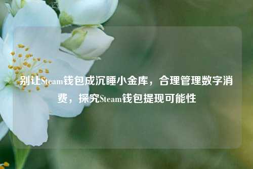 别让Steam钱包成沉睡小金库，合理管理数字消费，探究Steam钱包提现可能性