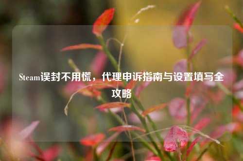 Steam误封不用慌，代理申诉指南与设置填写全攻略