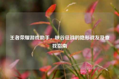 王者荣耀游戏助手，峡谷征战的隐形战友及查找指南