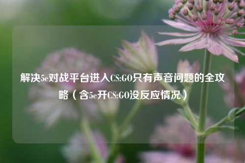 解决5e对战平台进入CS:GO只有声音问题的全攻略(含5e开CS:GO没反应情况)