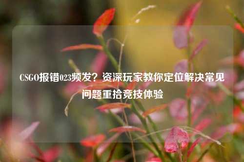 CSGO报错023频发?资深玩家教你定位解决常见问题重拾竞技体验