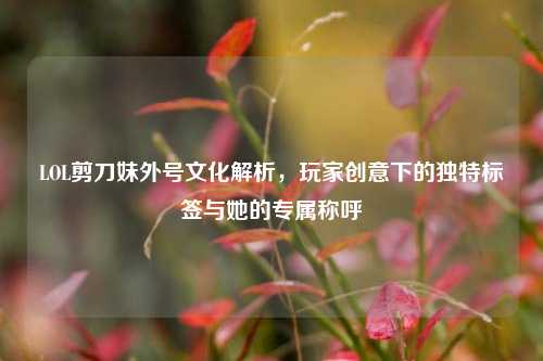 LOL剪刀妹外号文化解析,玩家创意下的独特标签与她的专属称呼