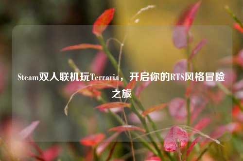 Steam双人联机玩Terraria,开启你的RTS风格冒险之旅