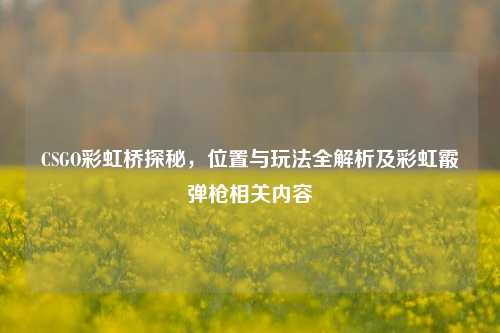 CSGO彩虹桥探秘,位置与玩法全解析及彩虹霰弹枪相关内容