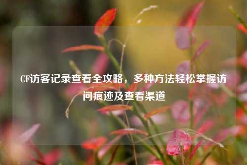 CF访客记录查看全攻略,多种方法轻松掌握访问痕迹及查看渠道