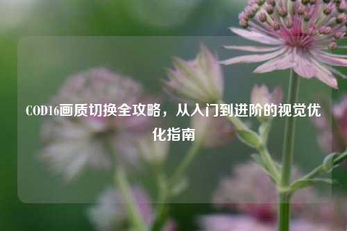 COD16画质切换全攻略，从入门到进阶的视觉优化指南