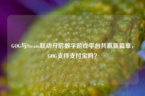 GOG与Steam联动开启数字游戏平台共赢新篇章,GOG支持支付宝吗?