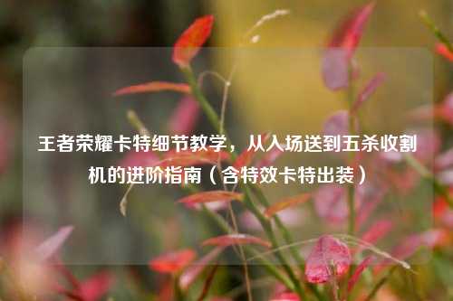 王者荣耀卡特细节教学，从入场送到五杀收割机的进阶指南（含特效卡特出装）