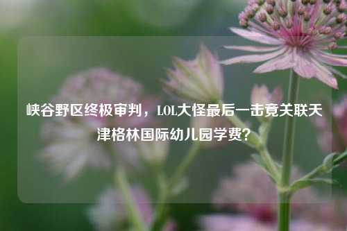 峡谷野区终极审判,LOL大怪最后一击竟关联天津格林国际幼儿园学费?