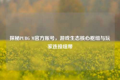 探秘PUBG M官方账号，游戏生态核心枢纽与玩家连接纽带