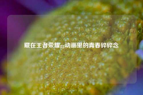 藏在王者荣耀gg动画里的青春碎碎念