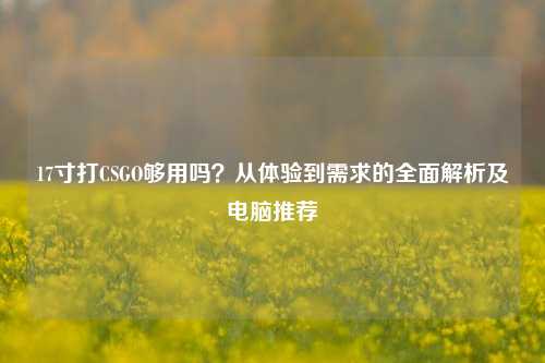 17寸打CSGO够用吗?从体验到需求的全面解析及电脑推荐