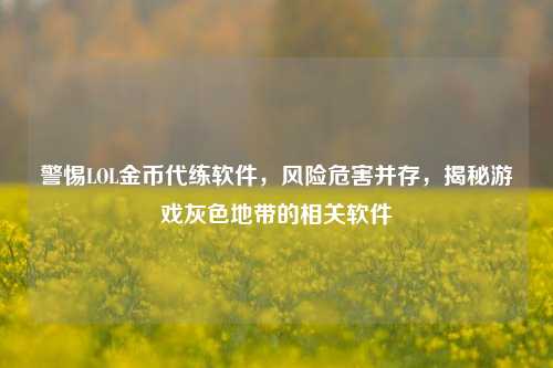 警惕LOL金币代练软件，风险危害并存，揭秘游戏灰色地带的相关软件