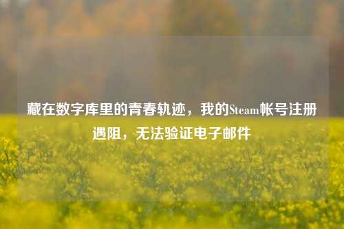 藏在数字库里的青春轨迹,我的Steam帐号注册遇阻,无法验证电子邮件