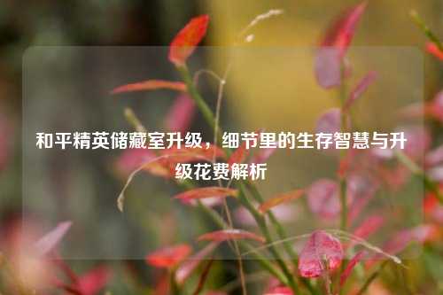 和平精英储藏室升级,细节里的生存智慧与升级花费解析