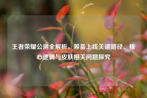 王者荣耀公测全解析,筹备上线关键路径、核心逻辑与皮肤相关问题探究