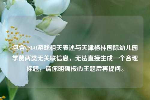包含CSGO游戏相关表述与天津格林国际幼儿园学费两类无关联信息,无法直接生成一个合理标题,请你明确核心主题后再提问。