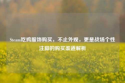 Steam吃鸡服饰购买,不止外观,更是战场个性注脚的购买渠道解析